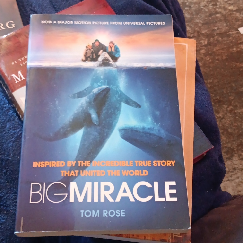 Big Miracle by Tom Rose